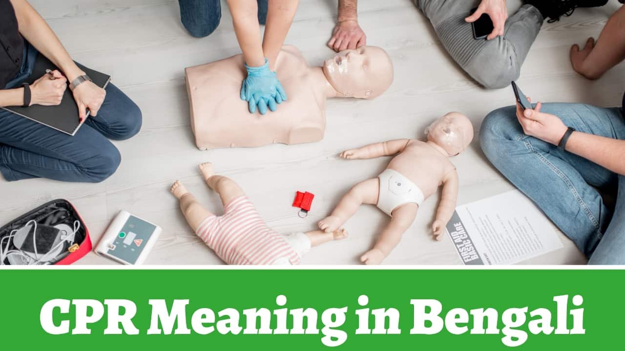 CPR Meaning in Bengali