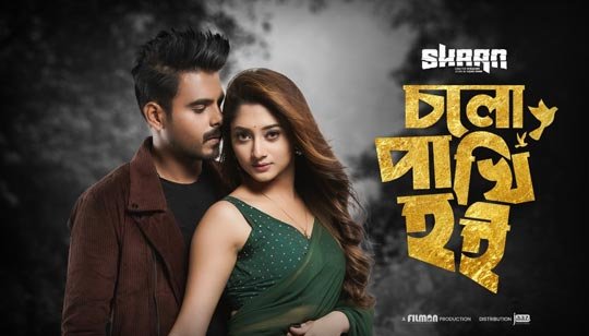 Cholo Pakhi Hoi Lyrics