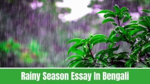 Rainy Season Essay In Bengali