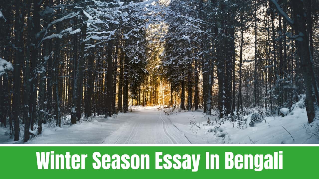 Winter Season Essay In Bengali