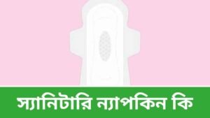 স্যানিটারি ন্যাপকিন কি