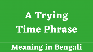 A Trying Time Phrase Meaning in Bengali