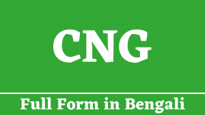 CNG Full Form in Bengali - সিএনজি কি?