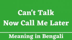 Can't Talk Now Call Me Later Meaning in Bengali