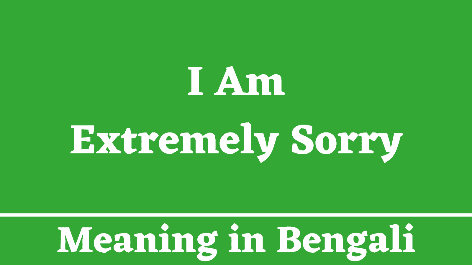 I Am Extremely Sorry Meaning in Bengali