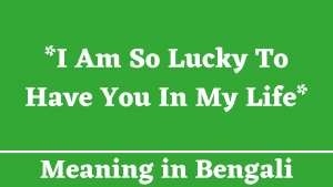 I Am So Lucky To Have You In My Life Meaning in Bengali