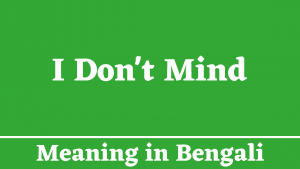 I Don't Mind Meaning in Bengali