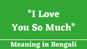 I Love You So Much Meaning in Bengali