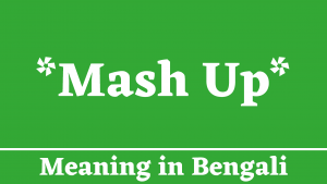 Mash Up Meaning in Bengali