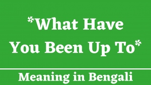 What Have You Been Up To Meaning in Bengali