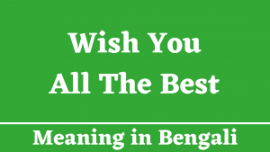 Wish You All The Best Meaning in Bengali