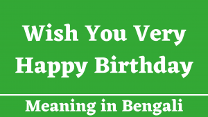 Wish You Very Happy Birthday Meaning in Bengali