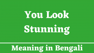 You Look Stunning Meaning in Bengali