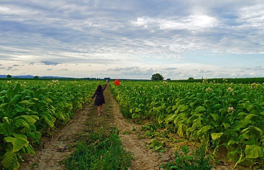 আন্তর্জাতিক নারী দিবসের ছবি