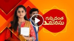 Guppedantha Manasu Today Episode 25th September 2023